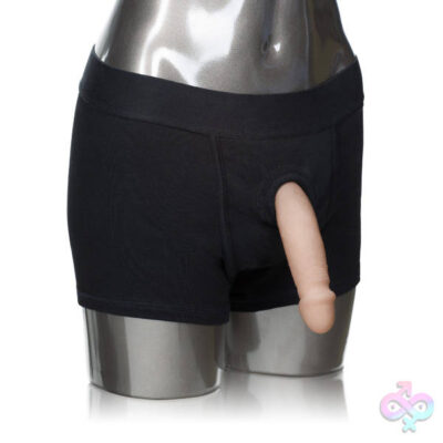 CalExotics Sex Toys - Packer Gear Boxer Brief Harness - Extra Small/small - Black