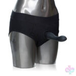 CalExotics Sex Toys - Packer Gear Brief Harness - Large/extra Large - Black