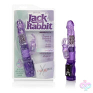 CalExotics Sex Toys - Petite Jack Rabbit - Purple