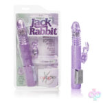 CalExotics Sex Toys - Petite Thrusting Jack Rabbit - Purple