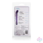 CalExotics Sex Toys - Pixies Glider Waterproof Vibe - Purple