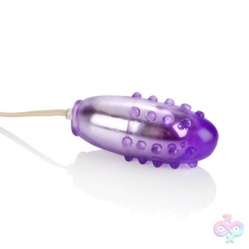 CalExotics Sex Toys - Pleasure Orb Vibrating Egg - Purple