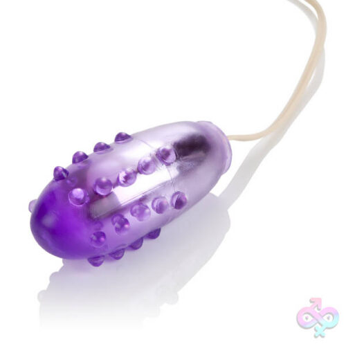 CalExotics Sex Toys - Pleasure Orb Vibrating Egg - Purple