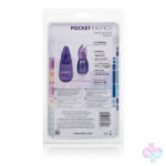 CalExotics Sex Toys - Pocket Exotics Snow Bunny Bullet - Purple