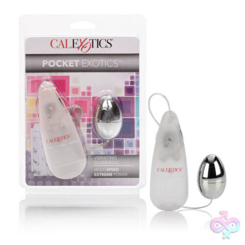 CalExotics Sex Toys - Pocket Exotics Vibrating Egg - Silver