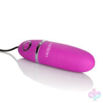 CalExotics Sex Toys - Power Play Silver Bullet