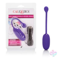 CalExotics Sex Toys - Rechargeable Kegel Ball Starter