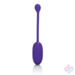 CalExotics Sex Toys - Rechargeable Kegel Ball Starter