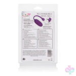 CalExotics Sex Toys - Rechargeable Kegel Ball Starter