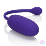CalExotics Sex Toys - Rechargeable Kegel Ball Starter
