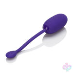 CalExotics Sex Toys - Rechargeable Kegel Ball Starter