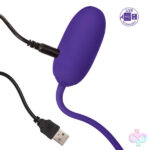 CalExotics Sex Toys - Rechargeable Kegel Ball Starter