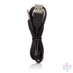 CalExotics Sex Toys - Rechargeable Kegel Ball Starter
