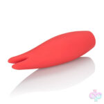 CalExotics Sex Toys - Red Hot - Flare
