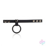 CalExotics Sex Toys - Rock Hard Pump Kit