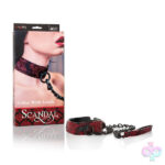 CalExotics Sex Toys - Scandal Collar With Leash