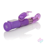 CalExotics Sex Toys - Shanes World Jack Rabbit G - Purple
