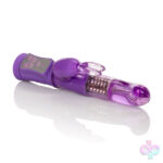 CalExotics Sex Toys - Shanes World Jack Rabbit G - Purple