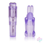 CalExotics Sex Toys - Shanes World Pocket Party - Purple