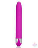 CalExotics Sex Toys - Shanes World Sorority Party Vibe All Night Long - Purple