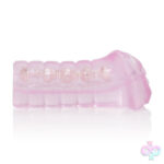 CalExotics Sex Toys - Shanes World Sorority Pussy