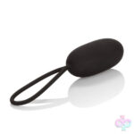 CalExotics Sex Toys - Silicone Remote Rechargeable Egg - Black