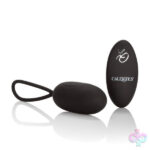 CalExotics Sex Toys - Silicone Remote Rechargeable Egg - Black