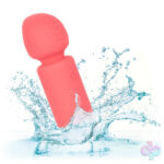 CalExotics Sex Toys - Slay Exciter
