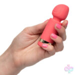 CalExotics Sex Toys - Slay Exciter