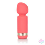 CalExotics Sex Toys - Slay Exciter