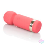 CalExotics Sex Toys - Slay Exciter