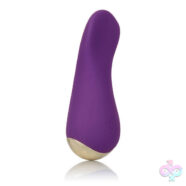 CalExotics Sex Toys - Slay Lover