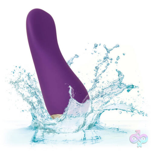 CalExotics Sex Toys - Slay Lover