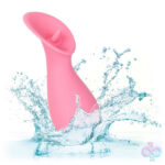 CalExotics Sex Toys - Slay Tickleme