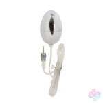 CalExotics Sex Toys - Sterling Collection Silver Egg