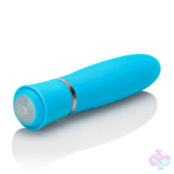 CalExotics Sex Toys - Taking Care of Business - Blue