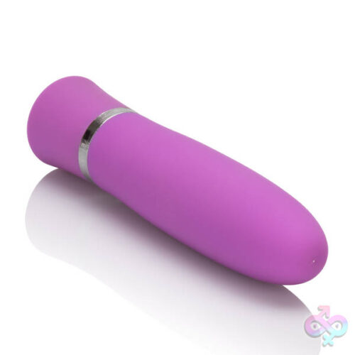 CalExotics Sex Toys - Taking Care of Business - Purple