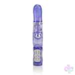 CalExotics Sex Toys - The Original Wild G Vibe - Purple