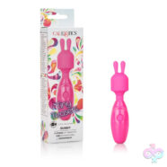 CalExotics Sex Toys - Tiny Teasers Bunny