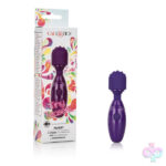 CalExotics Sex Toys - Tiny Teasers Nubby