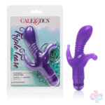 CalExotics Sex Toys - Triple Tease - Purple