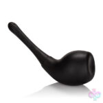 CalExotics Sex Toys - Ultimate Cleaning System - Black