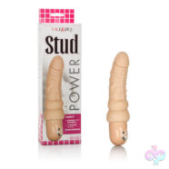 CalExotics Sex Toys - Waterproof Power Stud - Curvy - Ivory