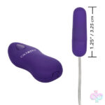 CalExotics Sex Toys - Whisper Micro Bullet - Purple