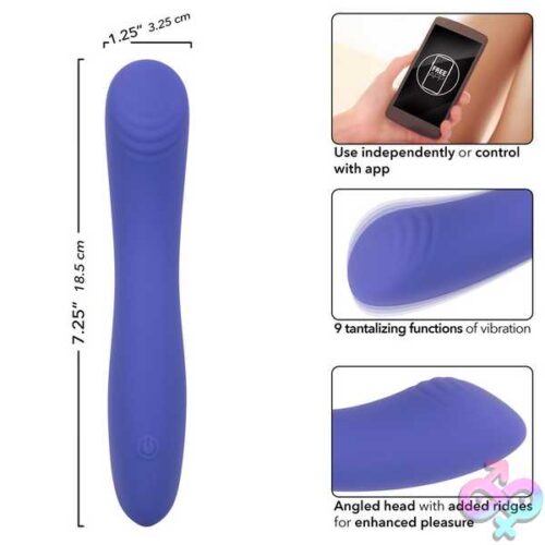 Calexotics Connect Contoured &Quot;G&Quot; - Periwinkle - Image 4