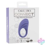 Calexotics Connect Couples Ring - Periwinkle - Image 2