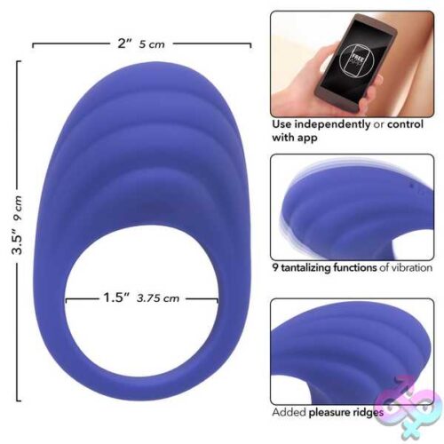 Calexotics Connect Couples Ring - Periwinkle - Image 4