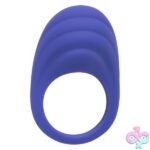 Calexotics Connect Couples Ring - Periwinkle - Image 6