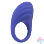 Calexotics Connect Couples Ring - Periwinkle - Image 9