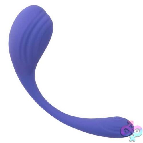 Calexotics Connect Kegel Exerciser - Periwinkle - Image 7